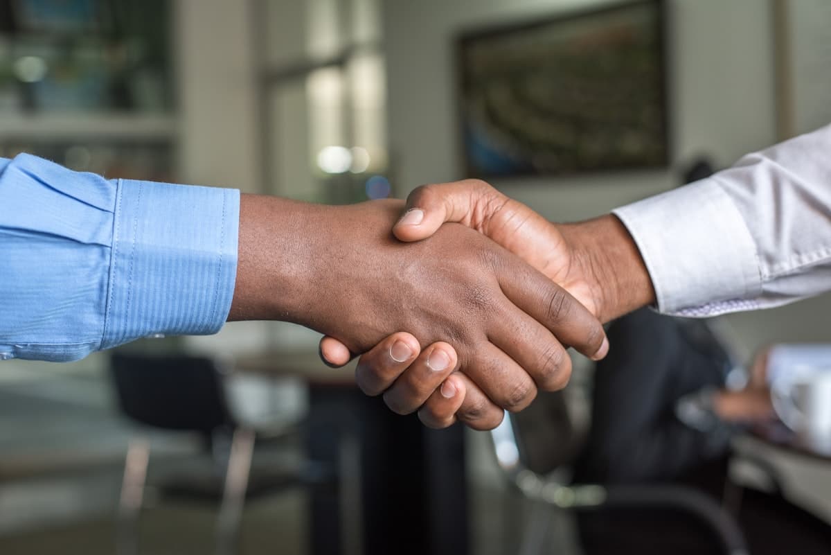 Business handshake between two professionals